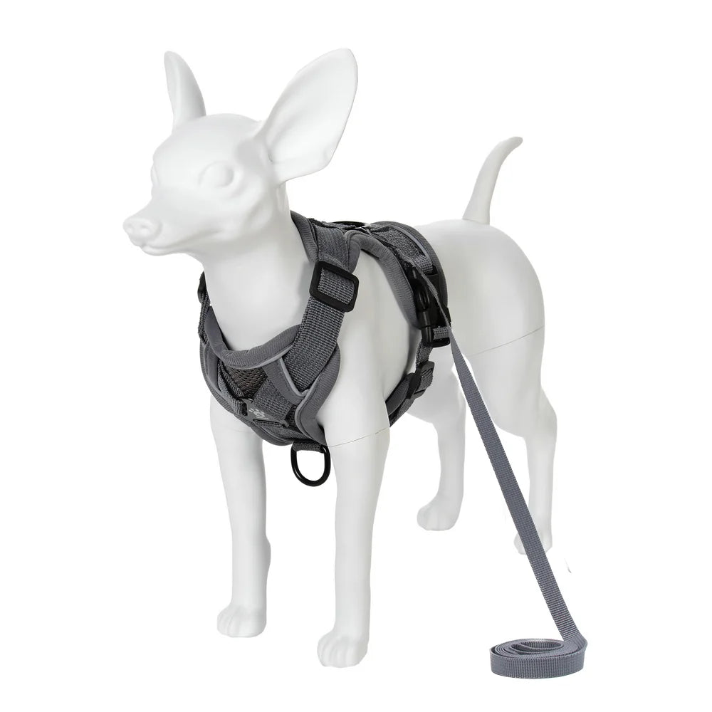 PawTrail Comfort™ – Safer Walks, Happier Adventures