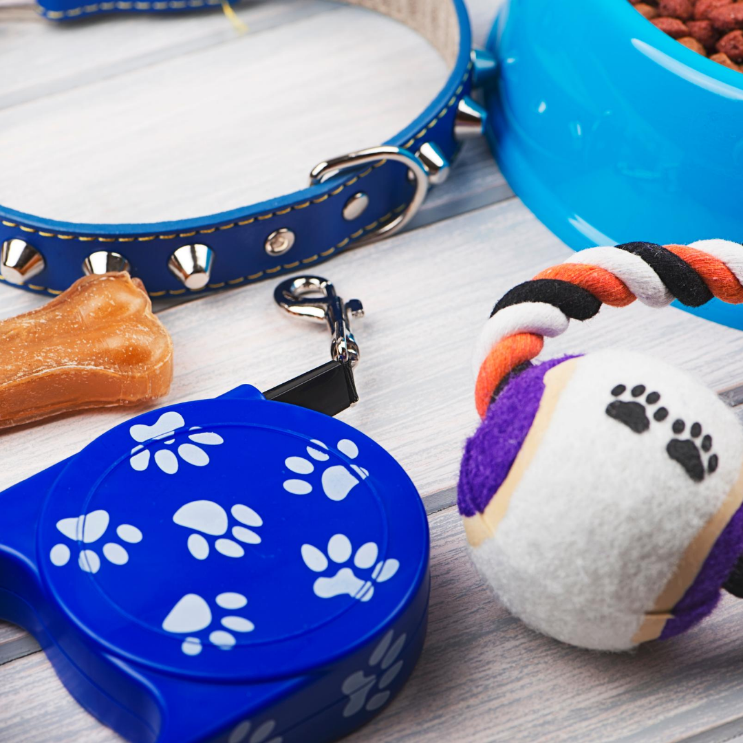 Pet Accessories