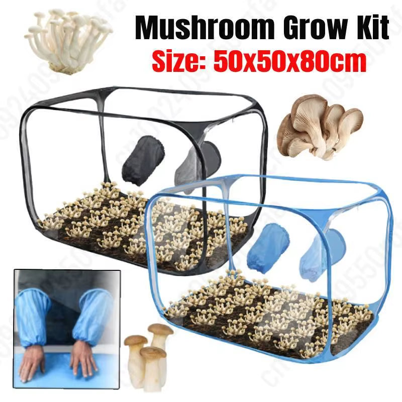 Mushroom Growing Tent Kit Mycology Still Air Box Mycology Fume Hood