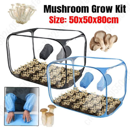 Mushroom Growing Tent Kit Mycology Still Air Box Mycology Fume Hood