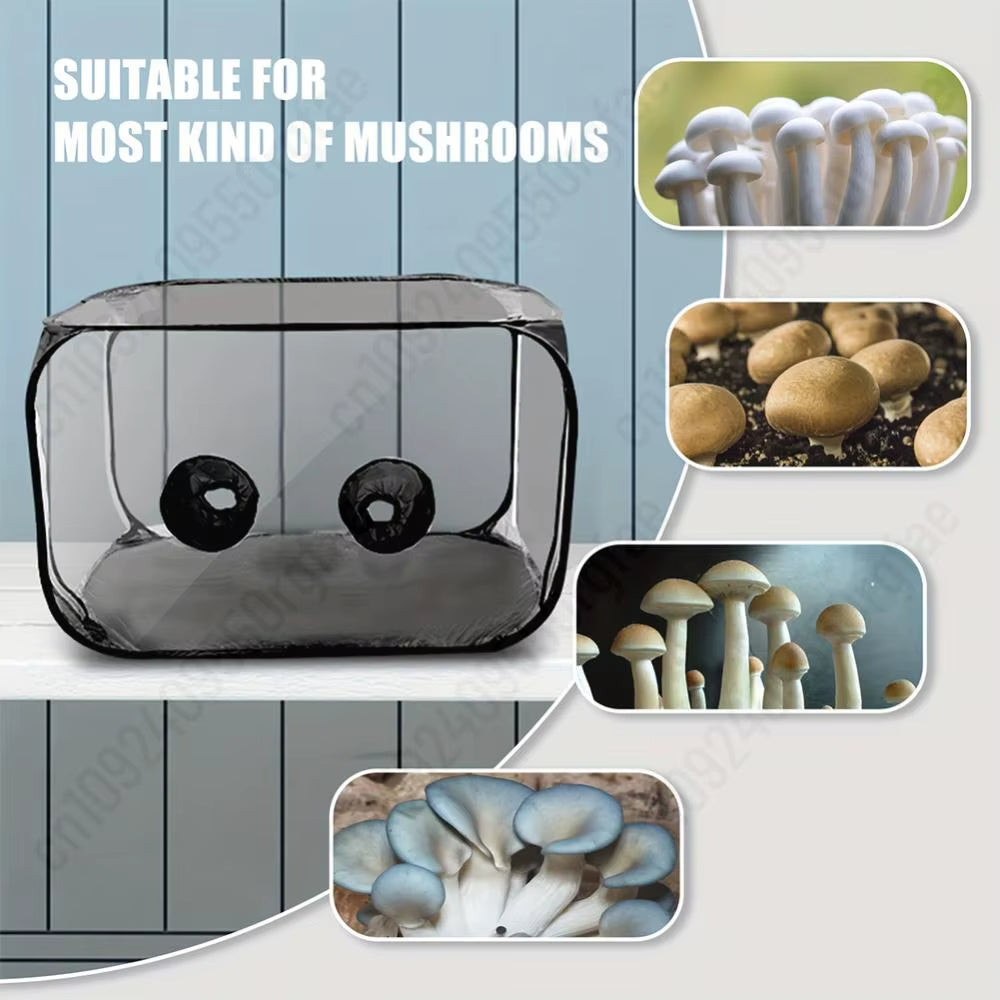 Mushroom Growing Tent Kit Mycology Still Air Box Mycology Fume Hood