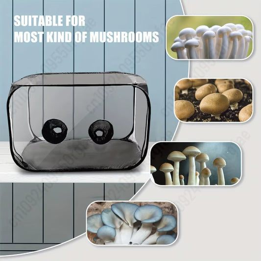 Mushroom Growing Tent Kit Mycology Still Air Box Mycology Fume Hood