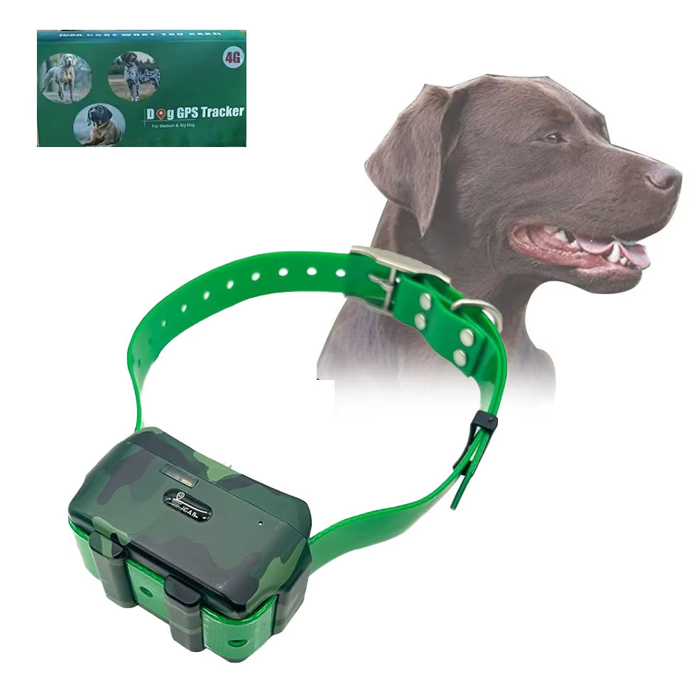 Lk122Pro 4G GPS Tracker Collars for Hunting Dog Cow Sheep 4000Mah IP68 - EditWell