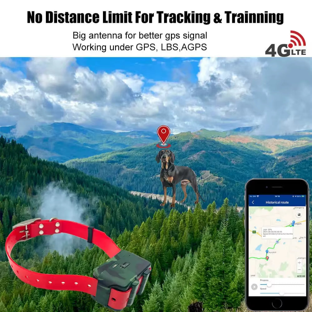 Lk122Pro 4G GPS Tracker Collars for Hunting Dog Cow Sheep 4000Mah IP68 - EditWell