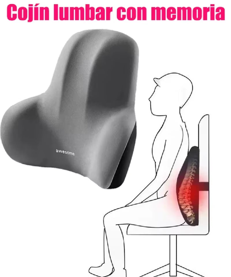 Lumbar Support Memory Foam Pillow | Back Pain Relief | Car & Office - EditWell