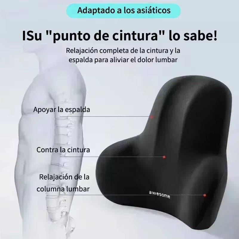 Lumbar Support Memory Foam Pillow | Back Pain Relief | Car & Office - EditWell