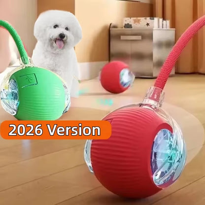 New Dog Interactive Ball Toy,Automatic Rolling Dog Ball Rechargeable,Smart Puppy Interactive Toy,Intelligent Balls Toy for Dogs - EditWell