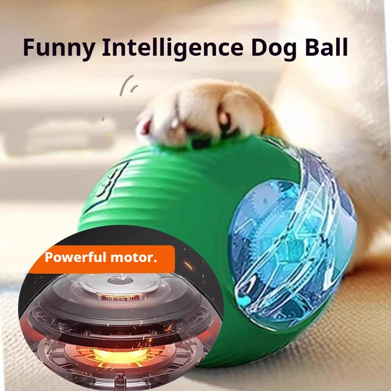 New Dog Interactive Ball Toy,Automatic Rolling Dog Ball Rechargeable,Smart Puppy Interactive Toy,Intelligent Balls Toy for Dogs - EditWell
