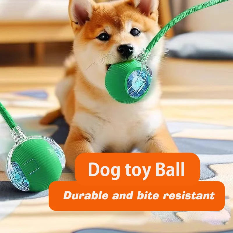 New Dog Interactive Ball Toy,Automatic Rolling Dog Ball Rechargeable,Smart Puppy Interactive Toy,Intelligent Balls Toy for Dogs - EditWell