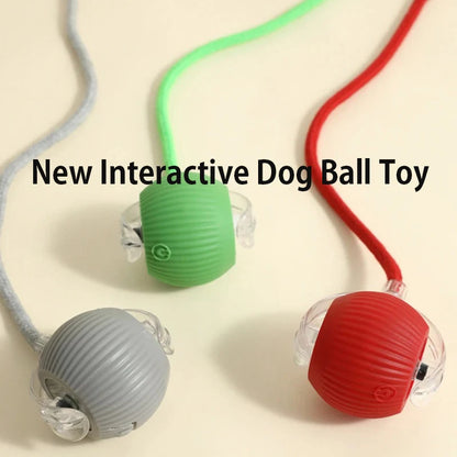 New Dog Interactive Ball Toy,Automatic Rolling Dog Ball Rechargeable,Smart Puppy Interactive Toy,Intelligent Balls Toy for Dogs - EditWell