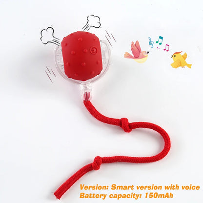 New Dog Interactive Ball Toy,Automatic Rolling Dog Ball Rechargeable,Smart Puppy Interactive Toy,Intelligent Balls Toy for Dogs - EditWell