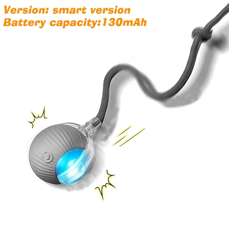 New Dog Interactive Ball Toy,Automatic Rolling Dog Ball Rechargeable,Smart Puppy Interactive Toy,Intelligent Balls Toy for Dogs - EditWell
