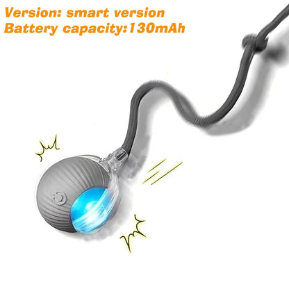 New Dog Interactive Ball Toy,Automatic Rolling Dog Ball Rechargeable,Smart Puppy Interactive Toy,Intelligent Balls Toy for Dogs - EditWell