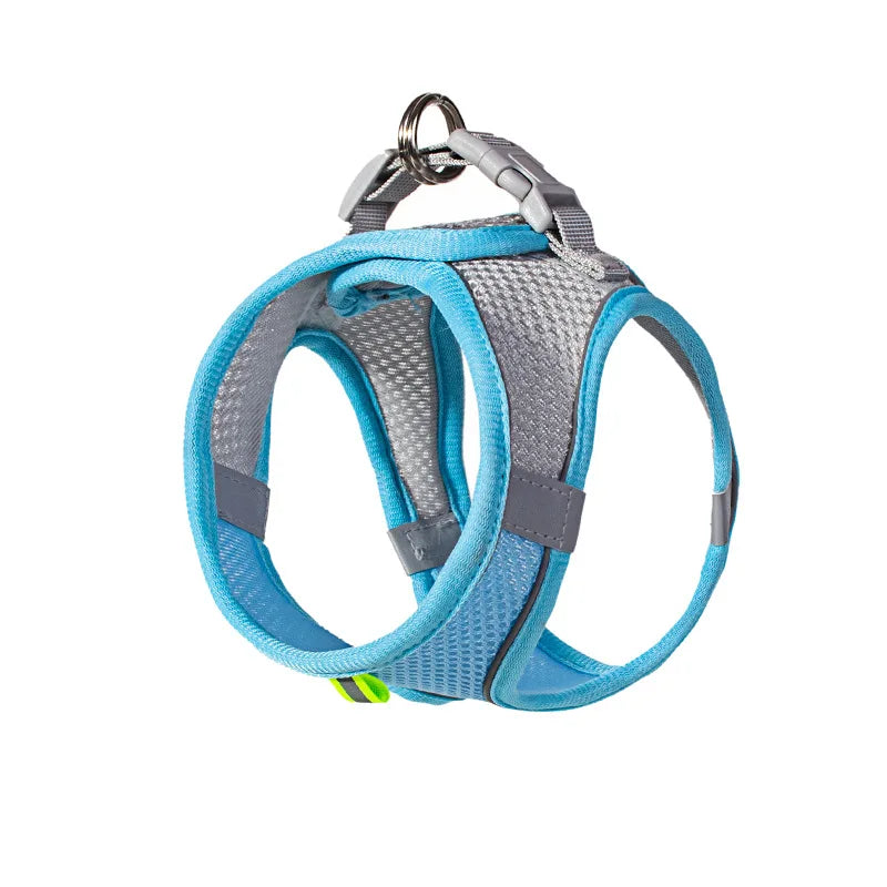 ComfortPaws Harness Set – Adjustable Dog & Cat Walking Harness