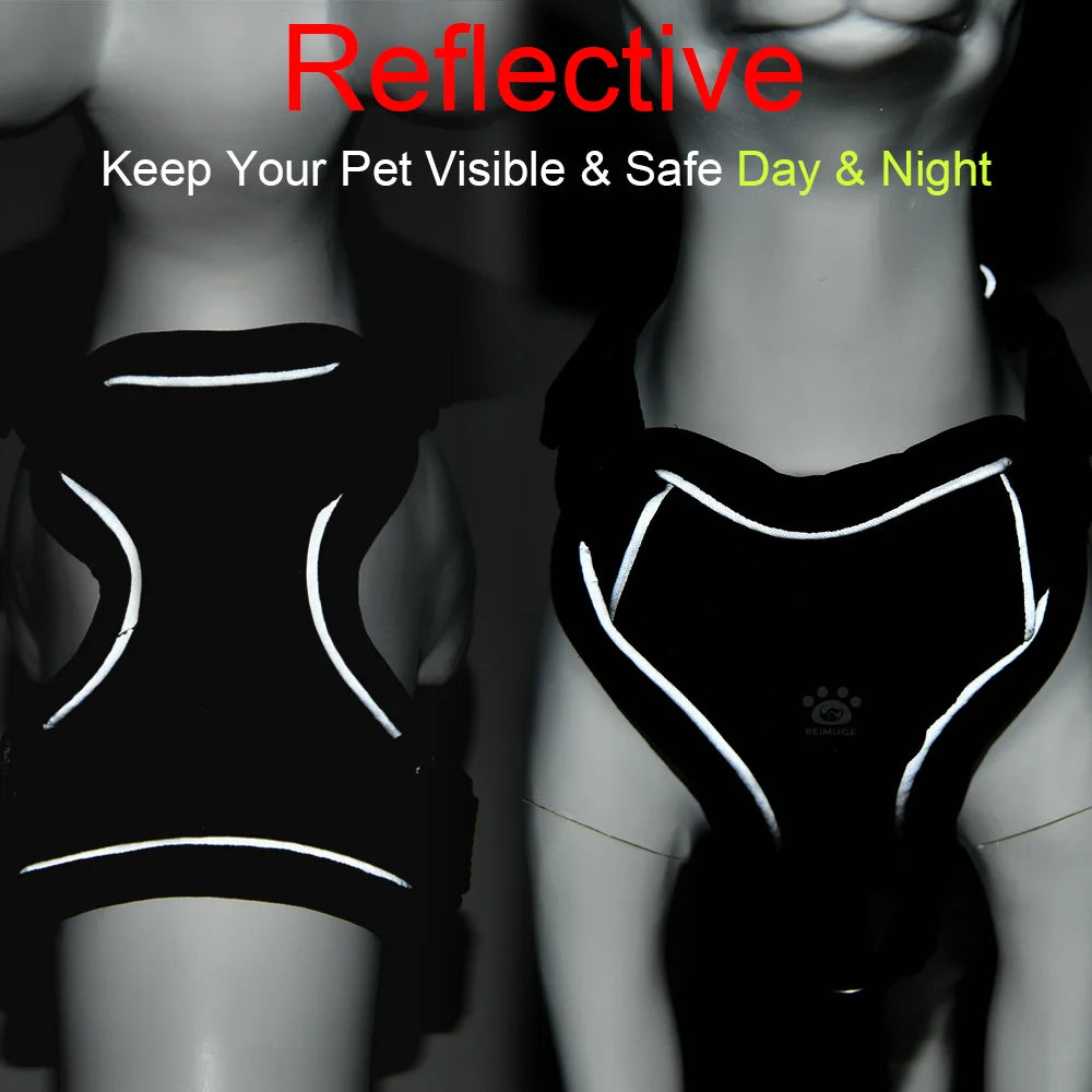 PawTrail Comfort™ – Safer Walks, Happier Adventures