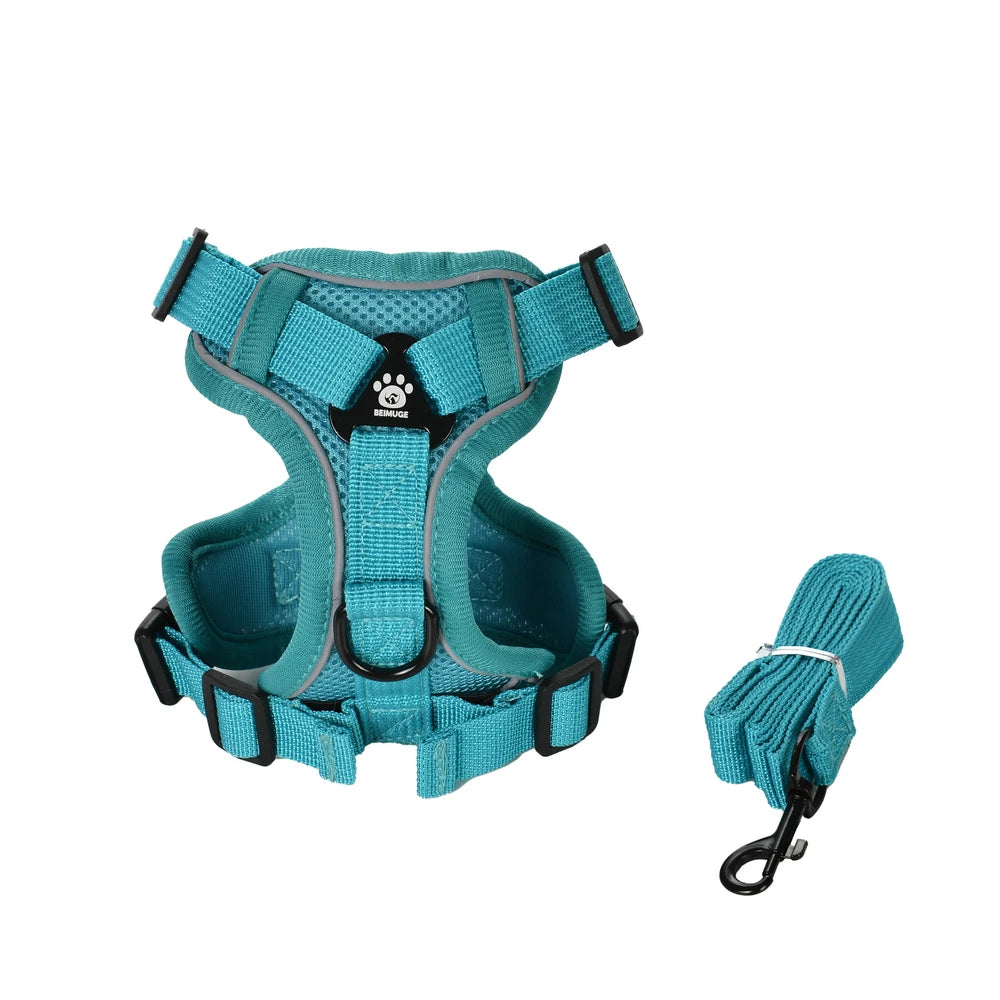 PawTrail Comfort™ – Safer Walks, Happier Adventures