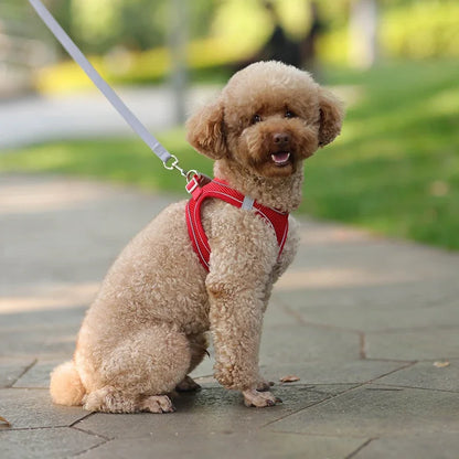 ComfortPaws Harness Set – Adjustable Dog & Cat Walking Harness