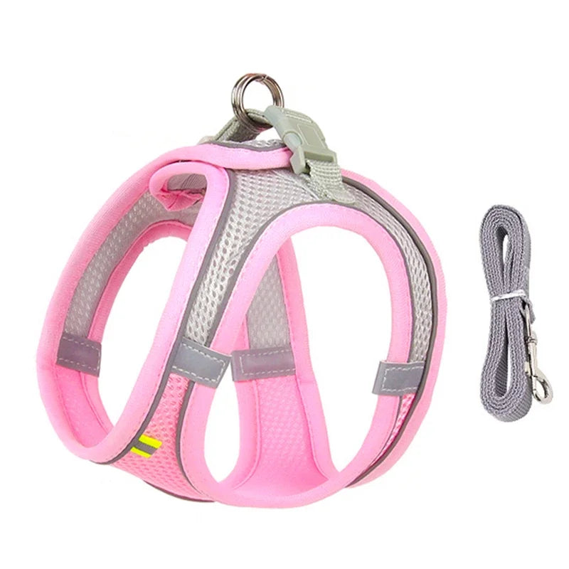 ComfortPaws Harness Set – Adjustable Dog & Cat Walking Harness