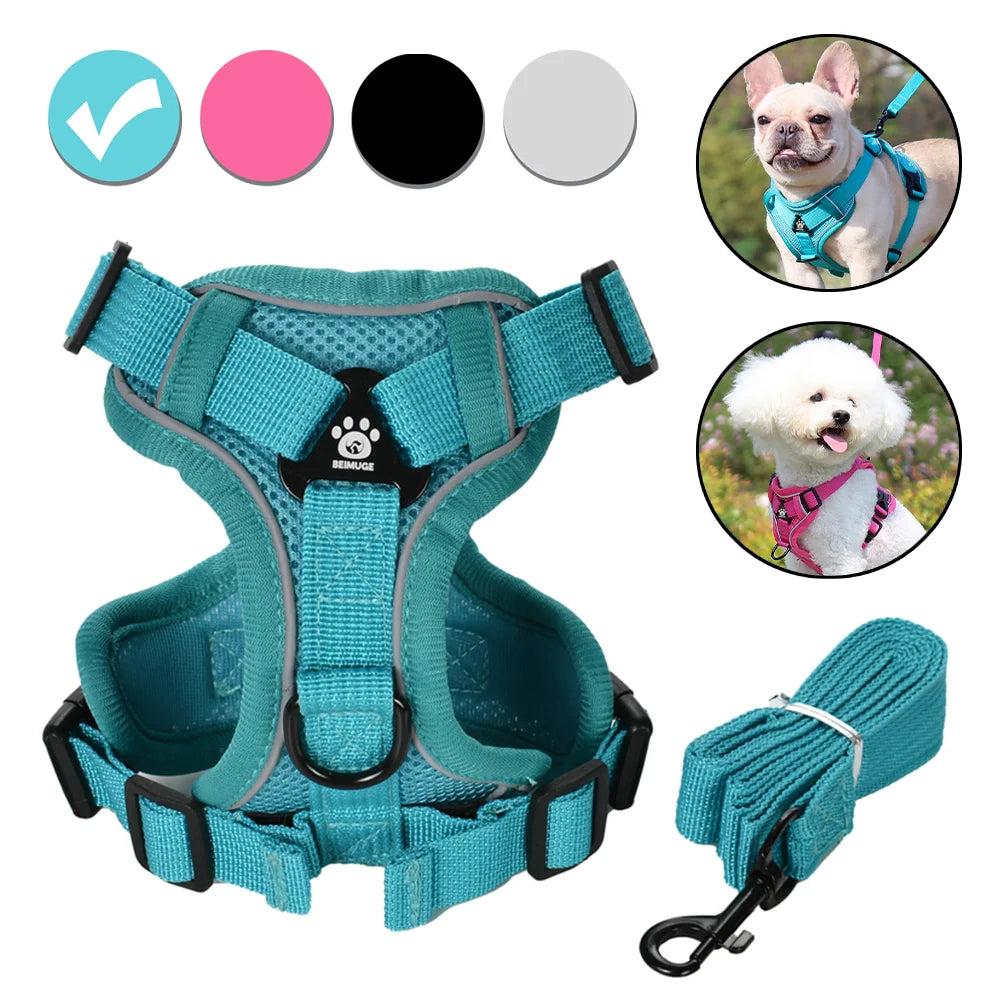 PawTrail Comfort™ – Safer Walks, Happier Adventures