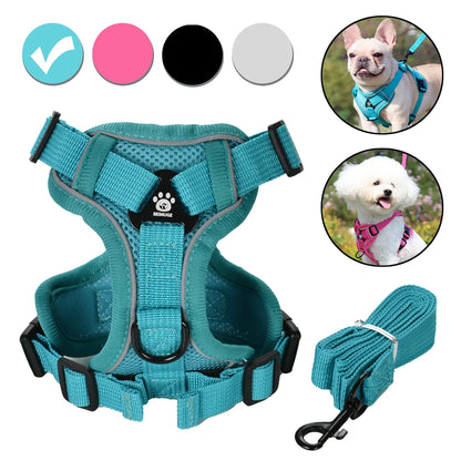 PawTrail Comfort™ – Safer Walks, Happier Adventures