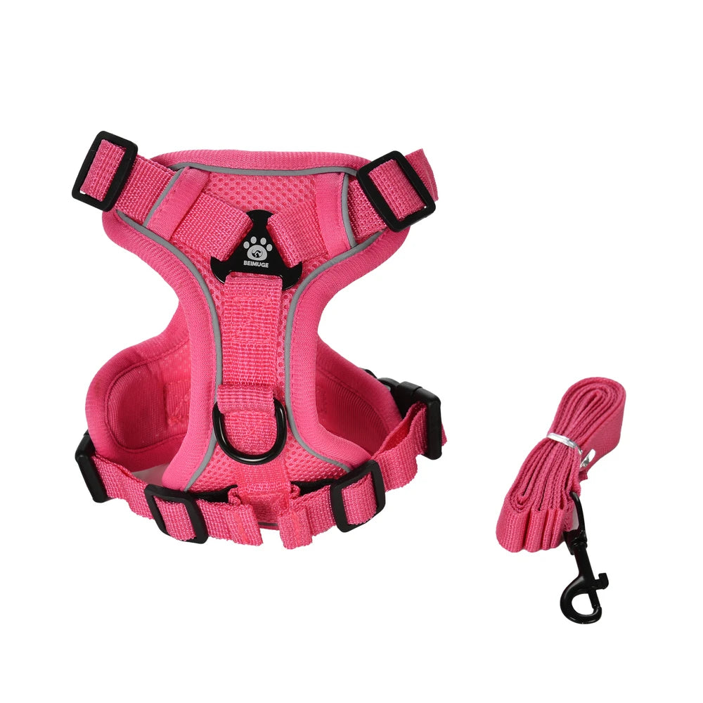 PawTrail Comfort™ – Safer Walks, Happier Adventures