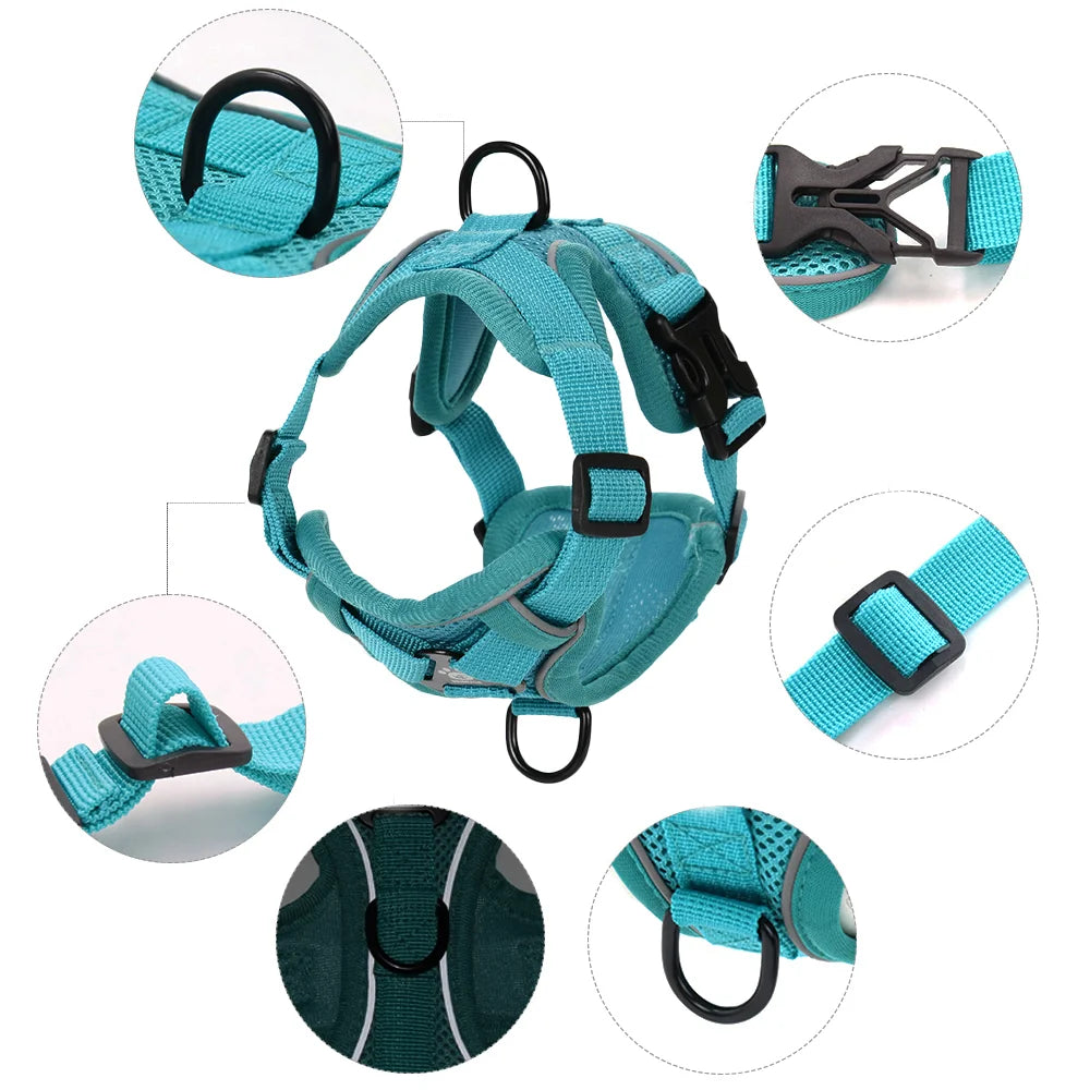 PawTrail Comfort™ – Safer Walks, Happier Adventures