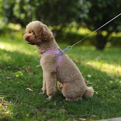 ComfortPaws Harness Set – Adjustable Dog & Cat Walking Harness