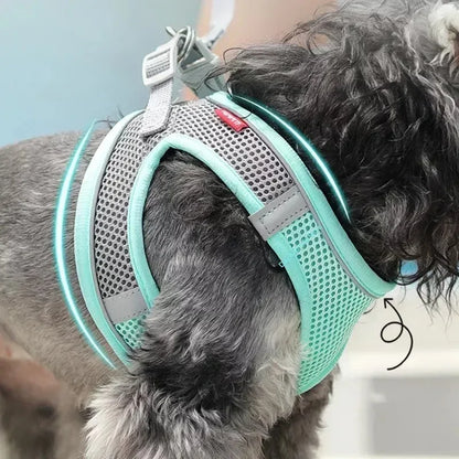 ComfortPaws Harness Set – Adjustable Dog & Cat Walking Harness