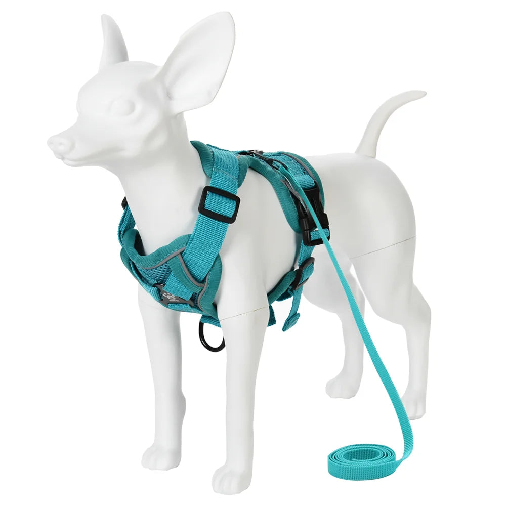 PawTrail Comfort™ – Safer Walks, Happier Adventures
