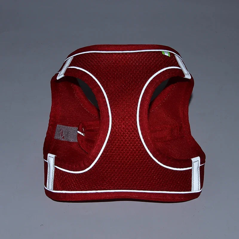 ComfortPaws Harness Set – Adjustable Dog & Cat Walking Harness