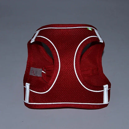 ComfortPaws Harness Set – Adjustable Dog & Cat Walking Harness