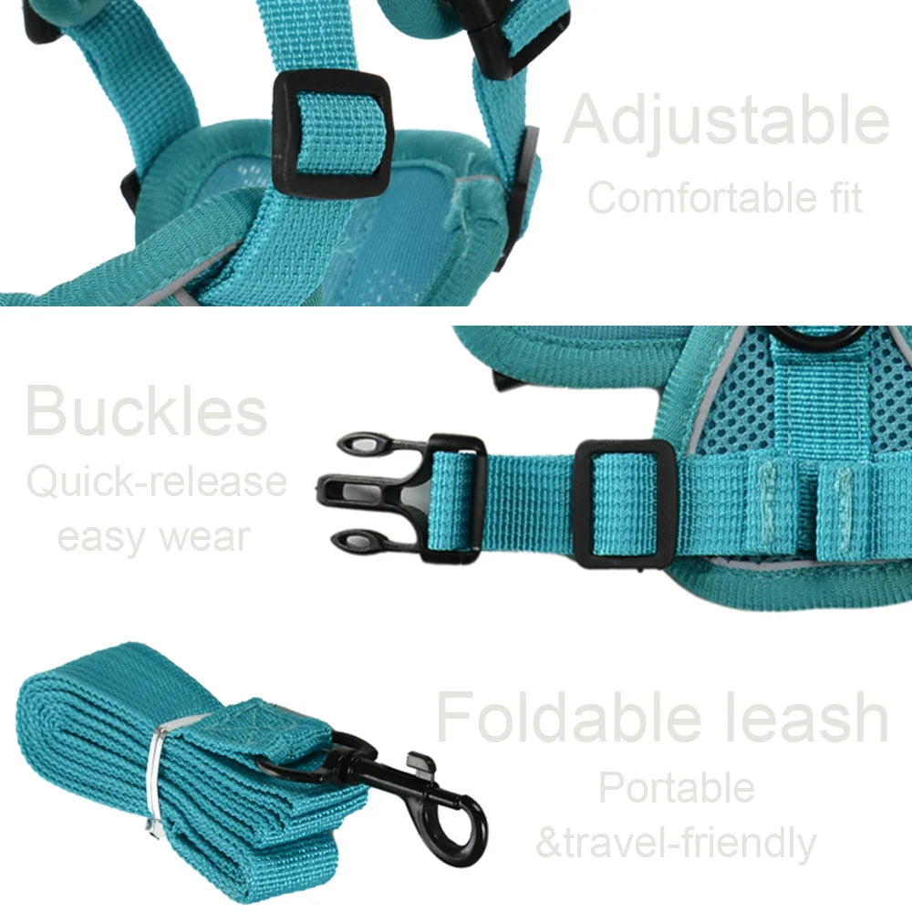 PawTrail Comfort™ – Safer Walks, Happier Adventures