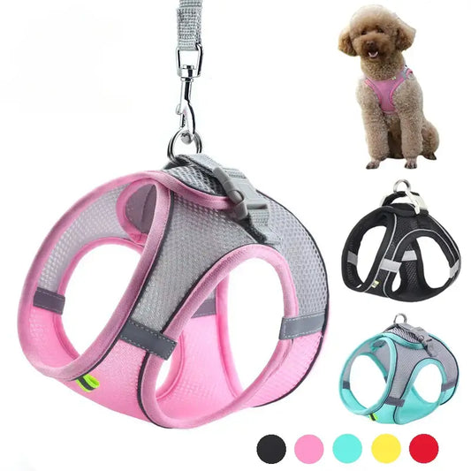 ComfortPaws Harness Set – Adjustable Dog & Cat Walking Harness