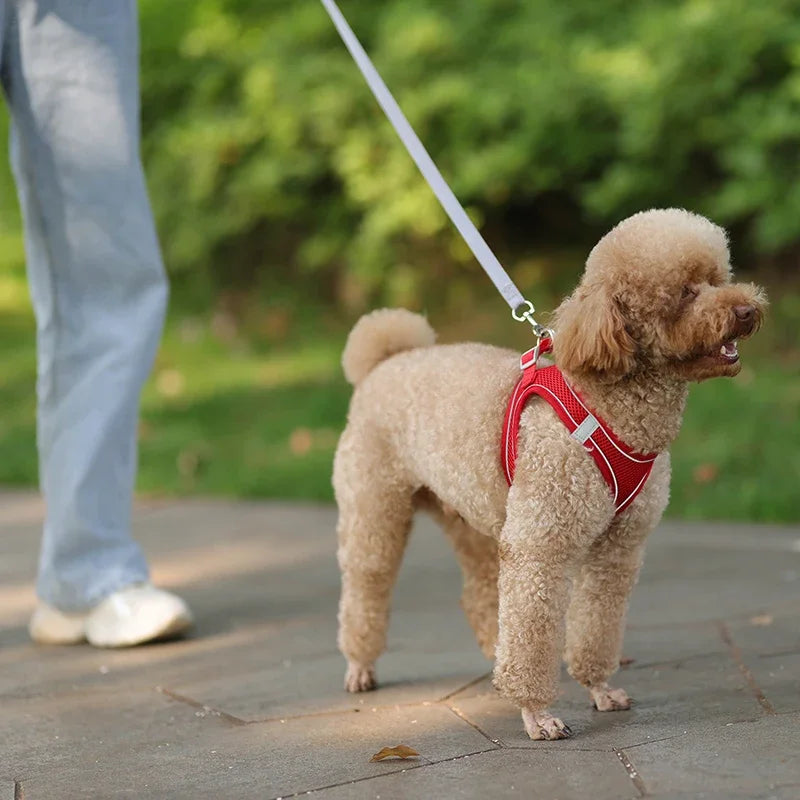 ComfortPaws Harness Set – Adjustable Dog & Cat Walking Harness