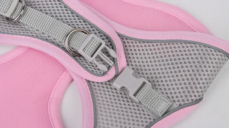 ComfortPaws Harness Set – Adjustable Dog & Cat Walking Harness