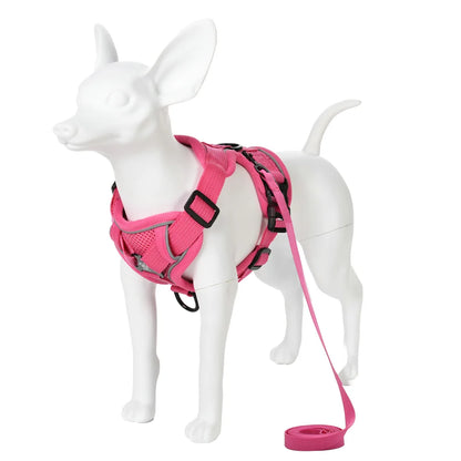 PawTrail Comfort™ – Safer Walks, Happier Adventures