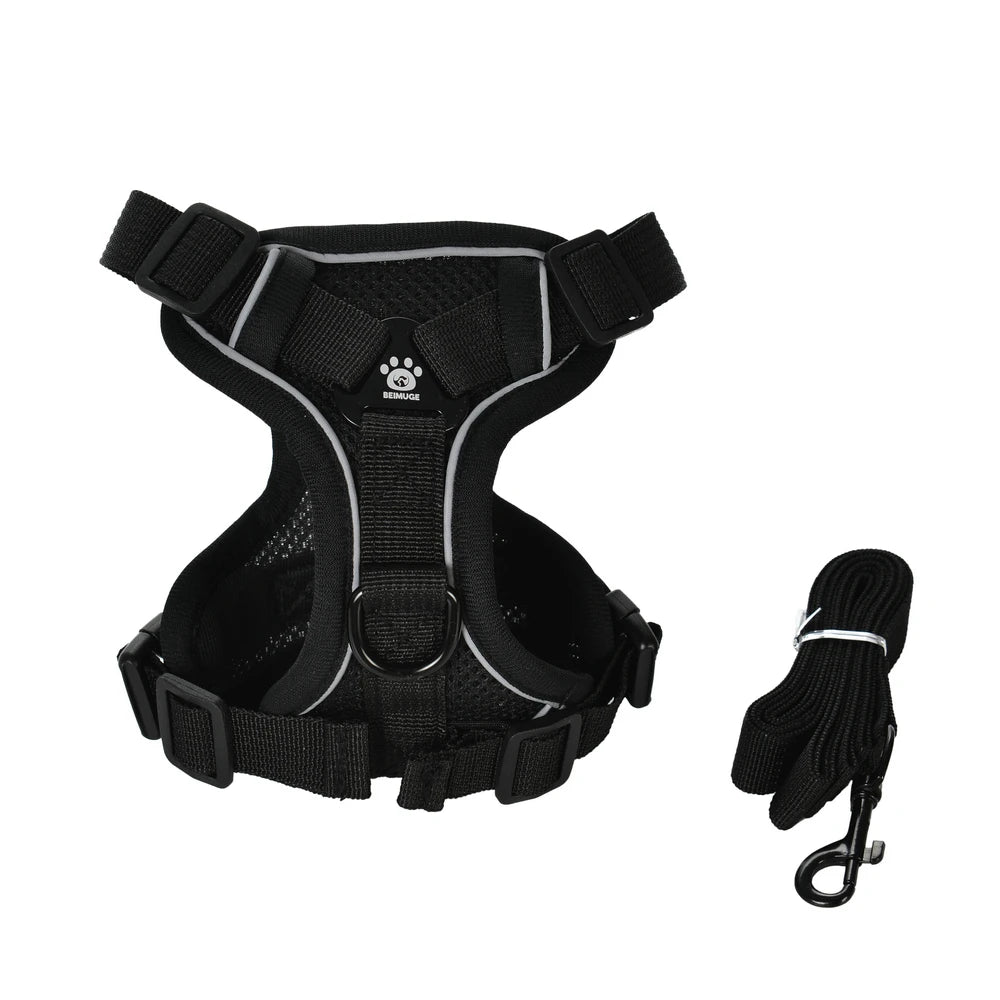 PawTrail Comfort™ – Safer Walks, Happier Adventures