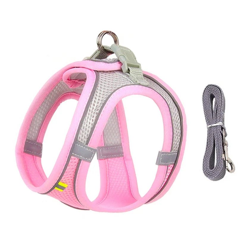 ComfortPaws Harness Set – Adjustable Dog & Cat Walking Harness