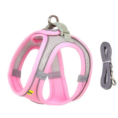 ComfortPaws Harness Set – Adjustable Dog & Cat Walking Harness