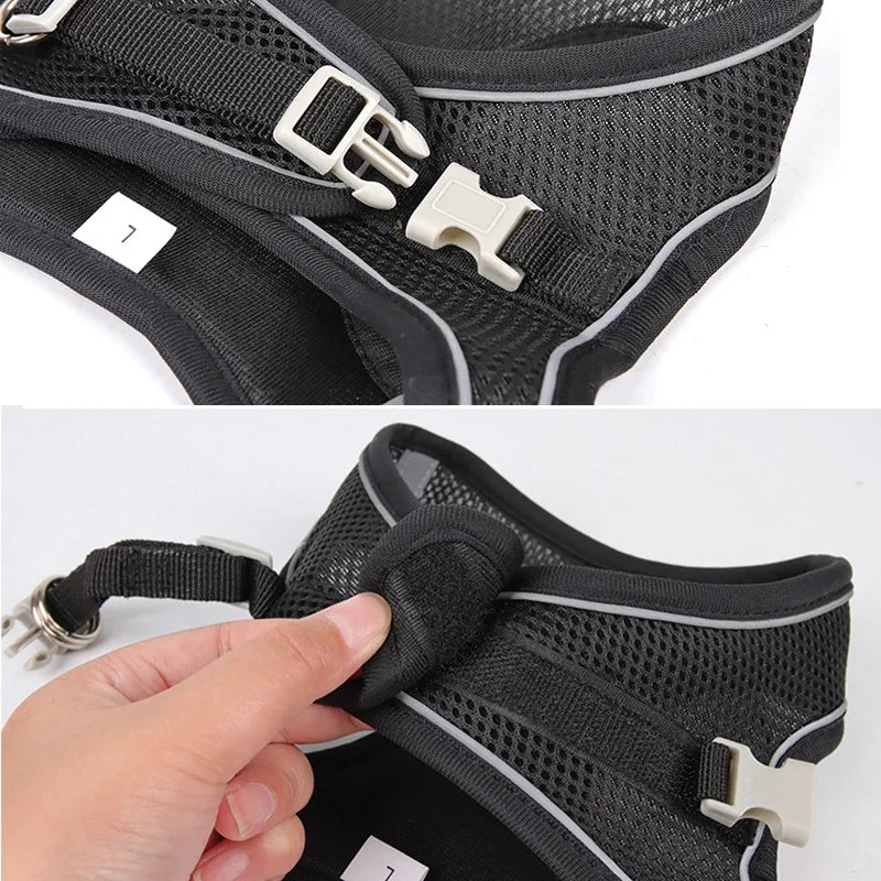 ComfortPaws Harness Set – Adjustable Dog & Cat Walking Harness