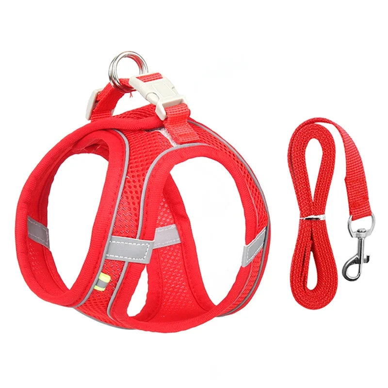 ComfortPaws Harness Set – Adjustable Dog & Cat Walking Harness