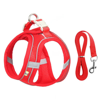 ComfortPaws Harness Set – Adjustable Dog & Cat Walking Harness