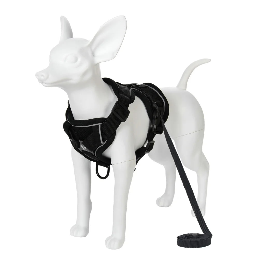 PawTrail Comfort™ – Safer Walks, Happier Adventures