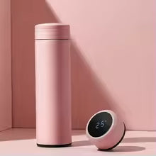 Intelligent Temperature Thermos Bottle Sports Water Cup Car Insulated Cup Keeps Cold