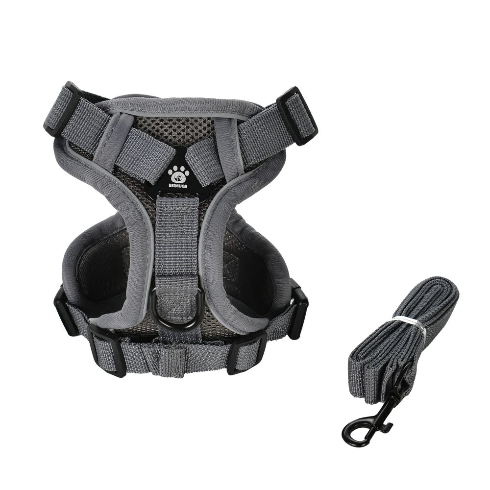 PawTrail Comfort™ – Safer Walks, Happier Adventures