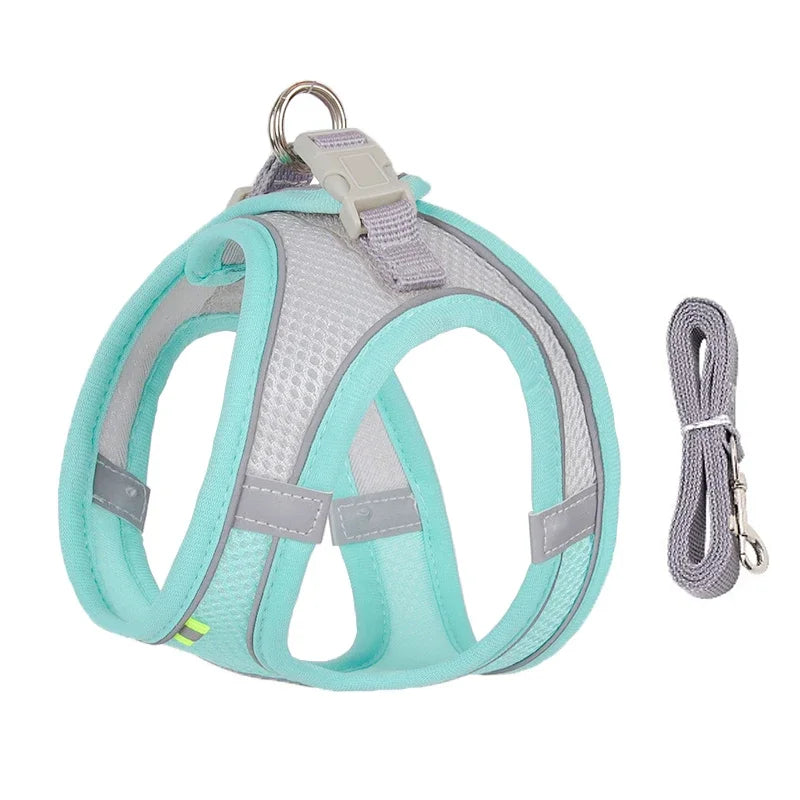 ComfortPaws Harness Set – Adjustable Dog & Cat Walking Harness