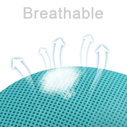 PawTrail Comfort™ – Safer Walks, Happier Adventures