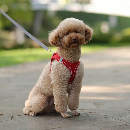 ComfortPaws Harness Set – Adjustable Dog & Cat Walking Harness