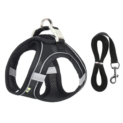 ComfortPaws Harness Set – Adjustable Dog & Cat Walking Harness