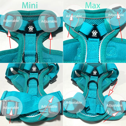 PawTrail Comfort™ – Safer Walks, Happier Adventures